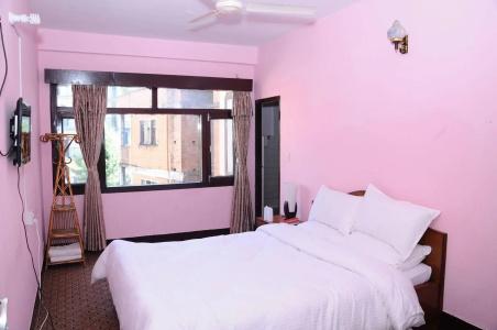 Himalayan Traveller's Inn - 3