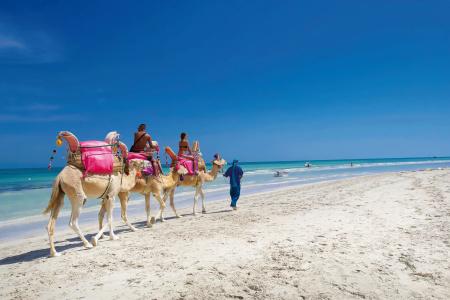 Djerba Plaza Thalasso & Spa - 21