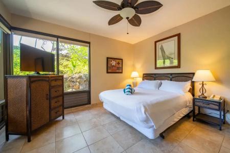 Kapalua Villas Maui - 260
