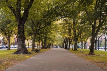 Sonder No 284 Back Bay - 5