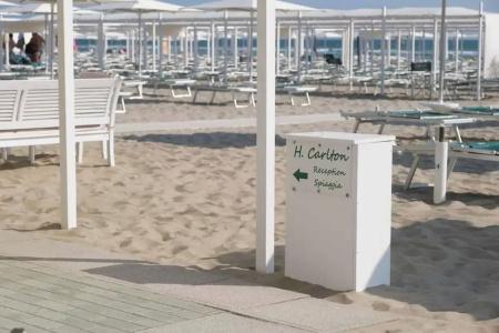 Carlton - 19