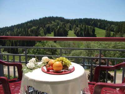 Das Wald- Genuss & Wellness am Notschreipass - 51