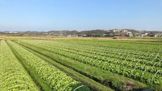 Pension Keiko - 3