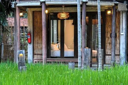 La a Natu Bed & Bakery - 225