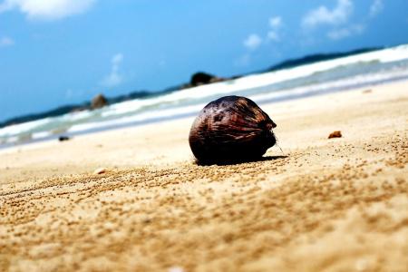 Surasa Beach Resort - 22