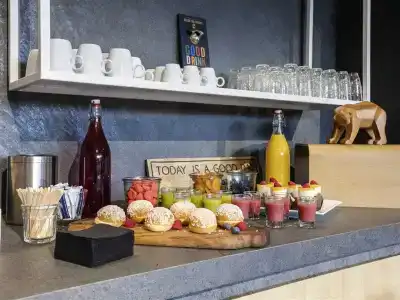 Novotel Annecy Centre Atria - 13
