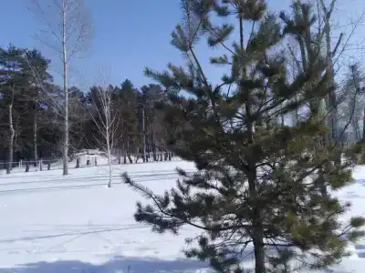 Ударник - 3