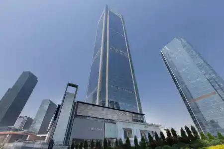 Niccolo Chongqing - 0