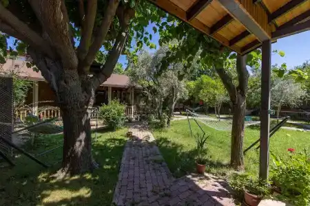 Caretta Caretta Pension - 18