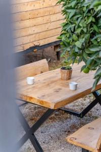 Gaia Tiny Houses Butik - 62