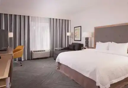 Hampton Inn & Suites by Hilton-Washington Rd - 40