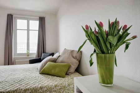 Am Pavillon, Bed&Kitchen - 1