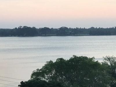 Yala Golden Park - 90
