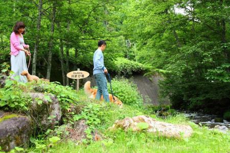 Izumigo Takayama Dog Paradise - 8