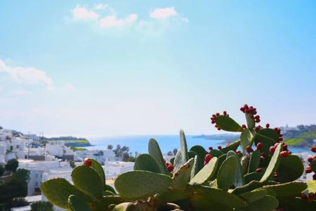 Amperian Mykonos Suites & Villas - 67