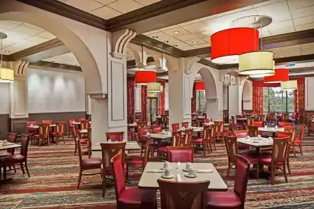 Wyndham Garden Lake Buena Vista Disney Springs® Resort Area - 26