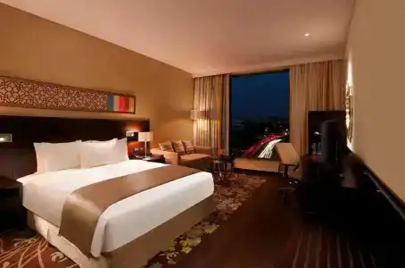 Hilton Jaipur - 59