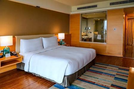 Crowne Plaza Jaipur Tonk Road, An Ihg - 142