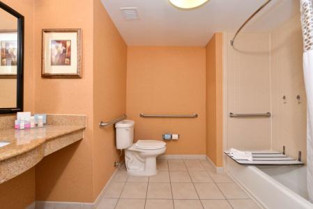 Hampton Inn and Suites South - 8