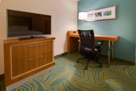 SpringHill Suites by Marriott Orlando Lake Buena Vista South - 33
