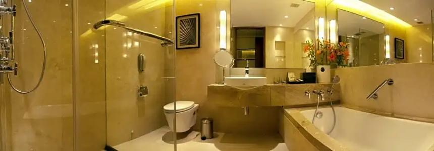 Taj Coromandel - 54