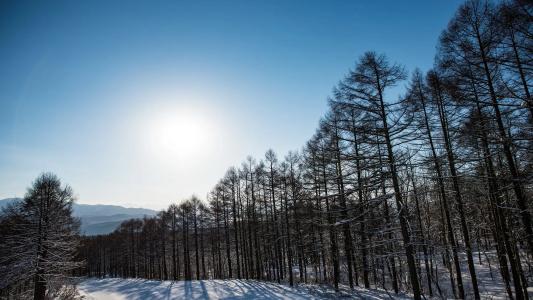 Alpen Blick - 16