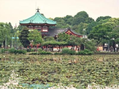 Wing International Select Ueno Okachimachi - 18