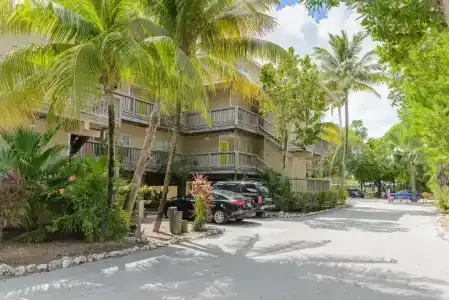 Coconut Mallory and Marina - 10