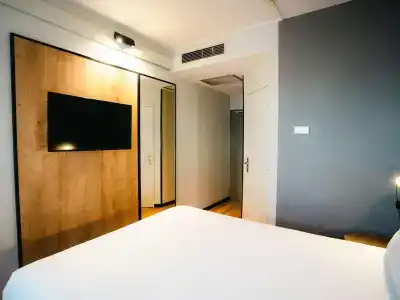 Ibis - 3