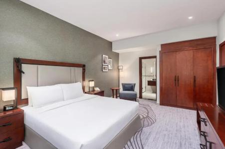 DoubleTree by Hilton Ras Al Khaimah - 89