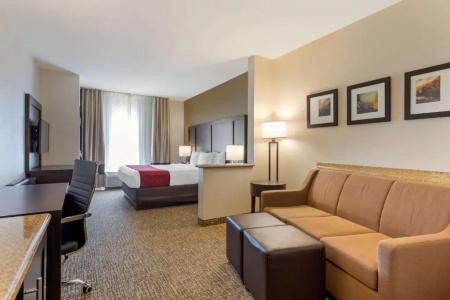 Comfort Suites Airport Convention Center - 53