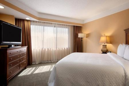 Embassy Suites by Hilton Crystal City National Airport - 6