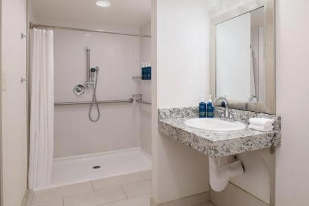 Four Points by Sheraton & Conference Center - 8
