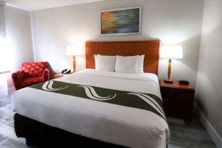 Quality Inn Miami Airport - Doral - 41