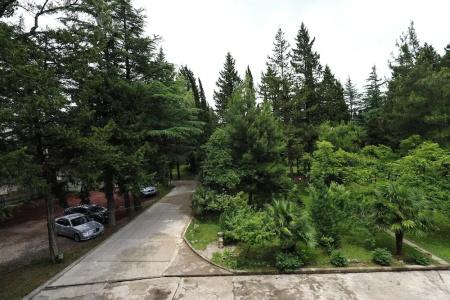 Imeri Park - 67