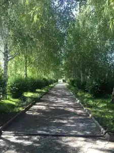 Тулпар - 18