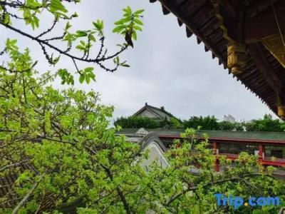 Wenjun Courtyard Chengdu ( Kuanzhai Branch) - 142