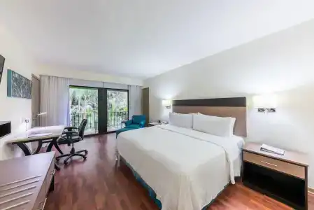 Holiday Inn Guadalajara Expo Plaza Del Sol, An Ihg - 72