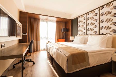 Holiday Inn Kayseri - Duvenonu, an IHG - 27
