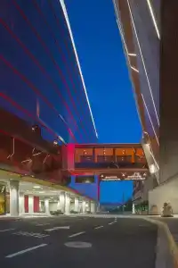 Lucky Dragon - 13