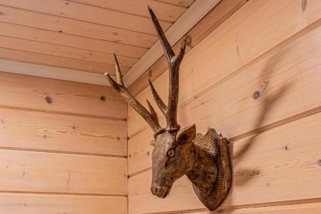 Saimaa Life - 174