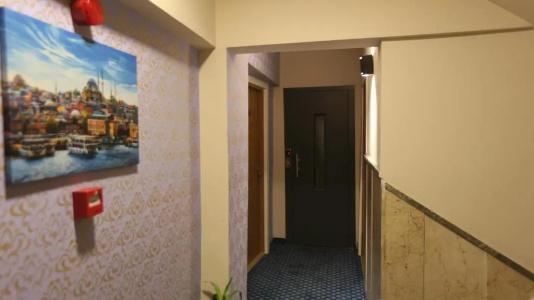 Senyor Garden - 11