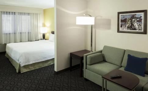 SpringHill Suites by Marriott Dallas Downtown / West End - 2