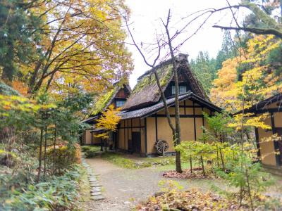 Wanosato - 27