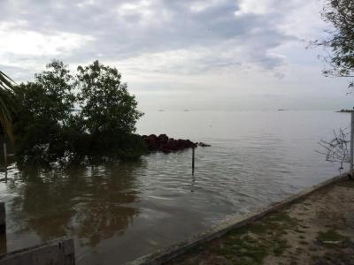 Harbour Inn - 14