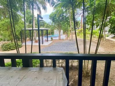Krabi Inn - 50