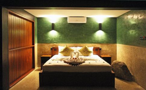 Aarunya Nature Resort and Spa - 4