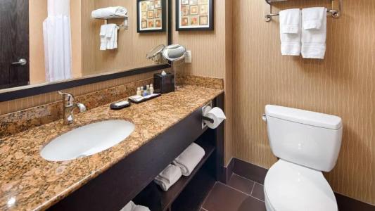 Best Western Premier Freeport Inn Airport - 69