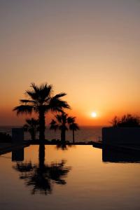Desiterra Resort - 277
