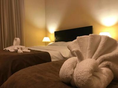 Royal Palace, Lagodekhi - 18